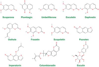 Therapeutic potential of natural coumarins in autoimmune diseases with underlying mechanisms
